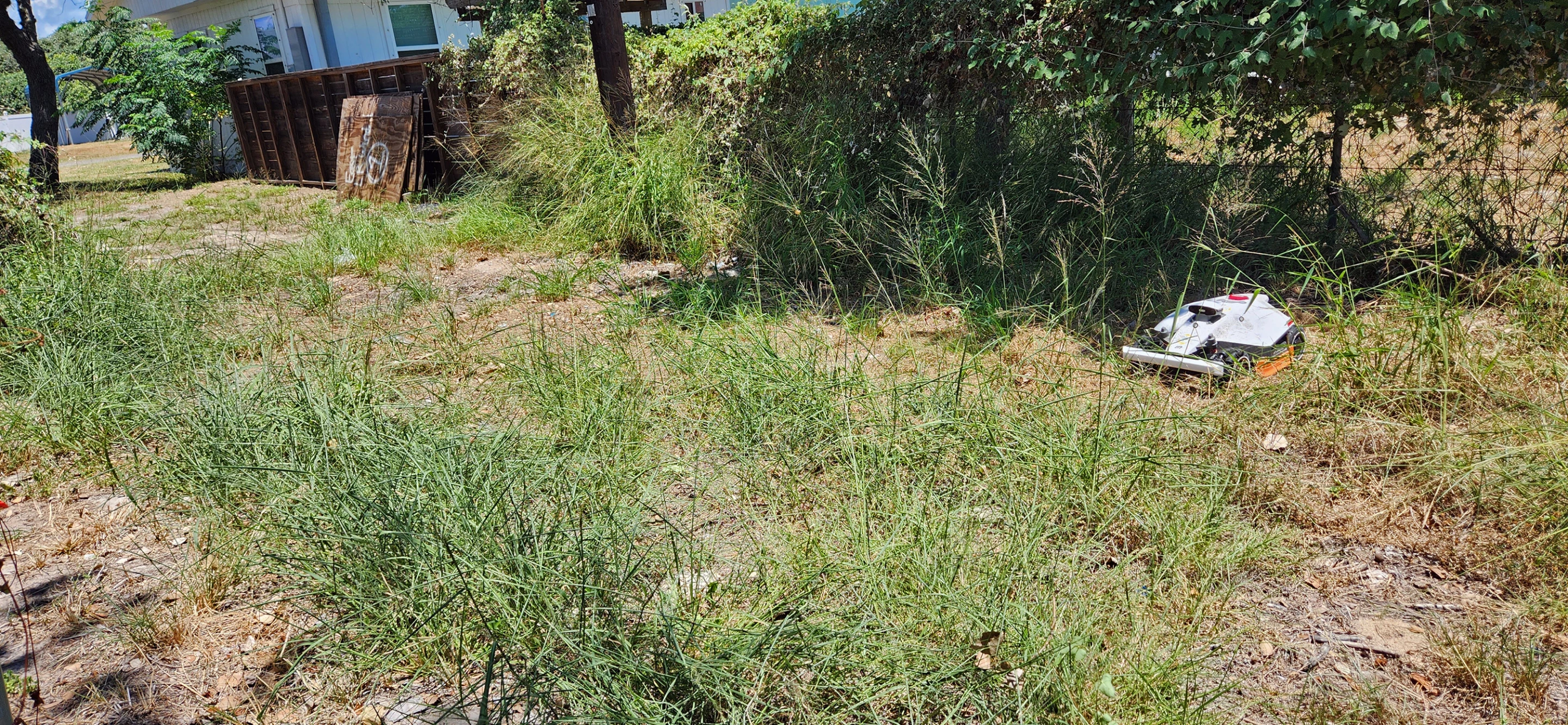 The easement behind my house was sorely neglected. I'm not sure who's "responsibility" it is to keep it tidy since it's outside my fence/property ... but no matter, because the little Luba handles it like a champ! It was tricky at first, but after I manually controlled the mower to run over that super tall stuff (which is pretty fun, honestly) and turned off obstacle avoidance, it handled the rest cleanly