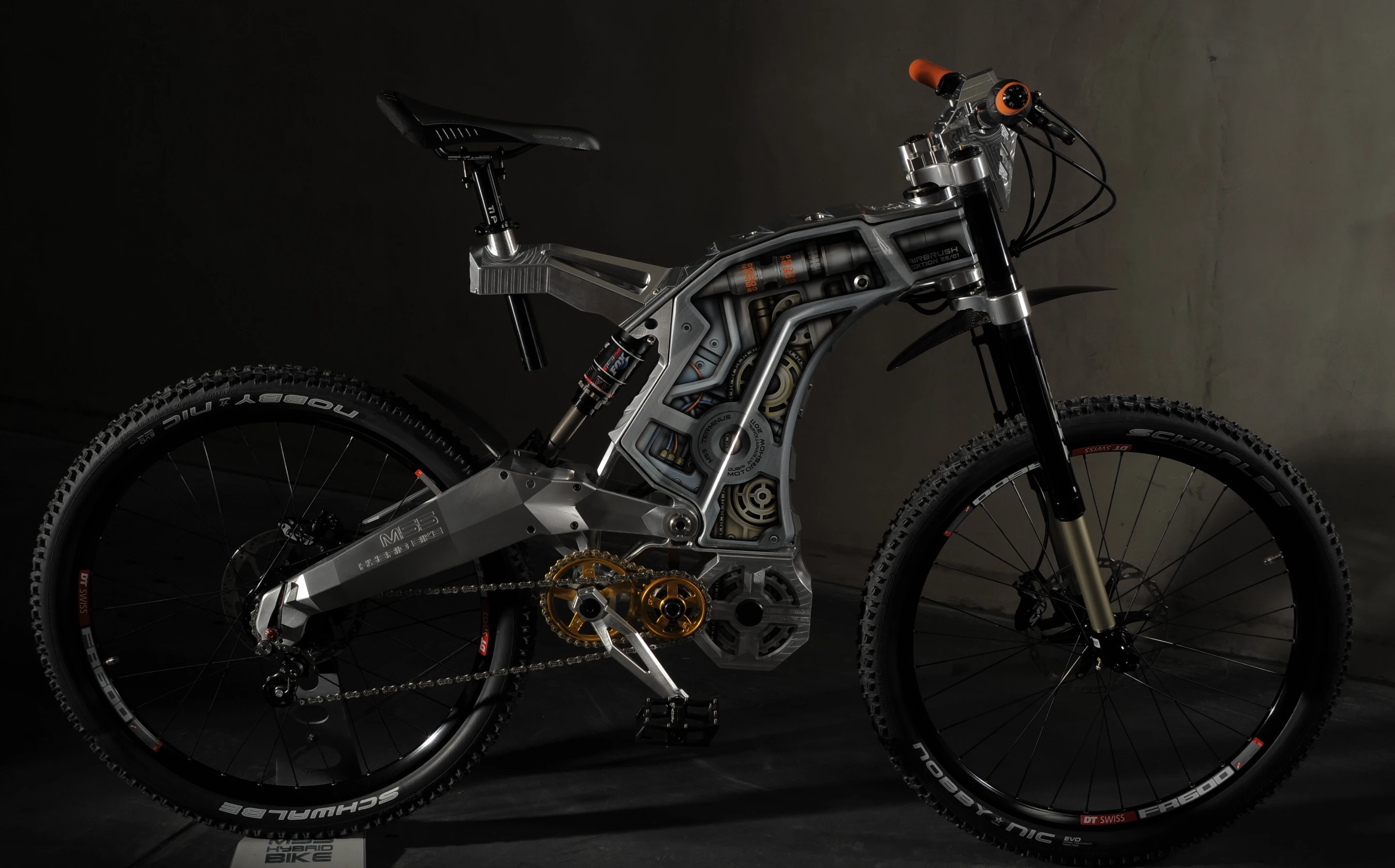 M55 Terminus Airbrush edition