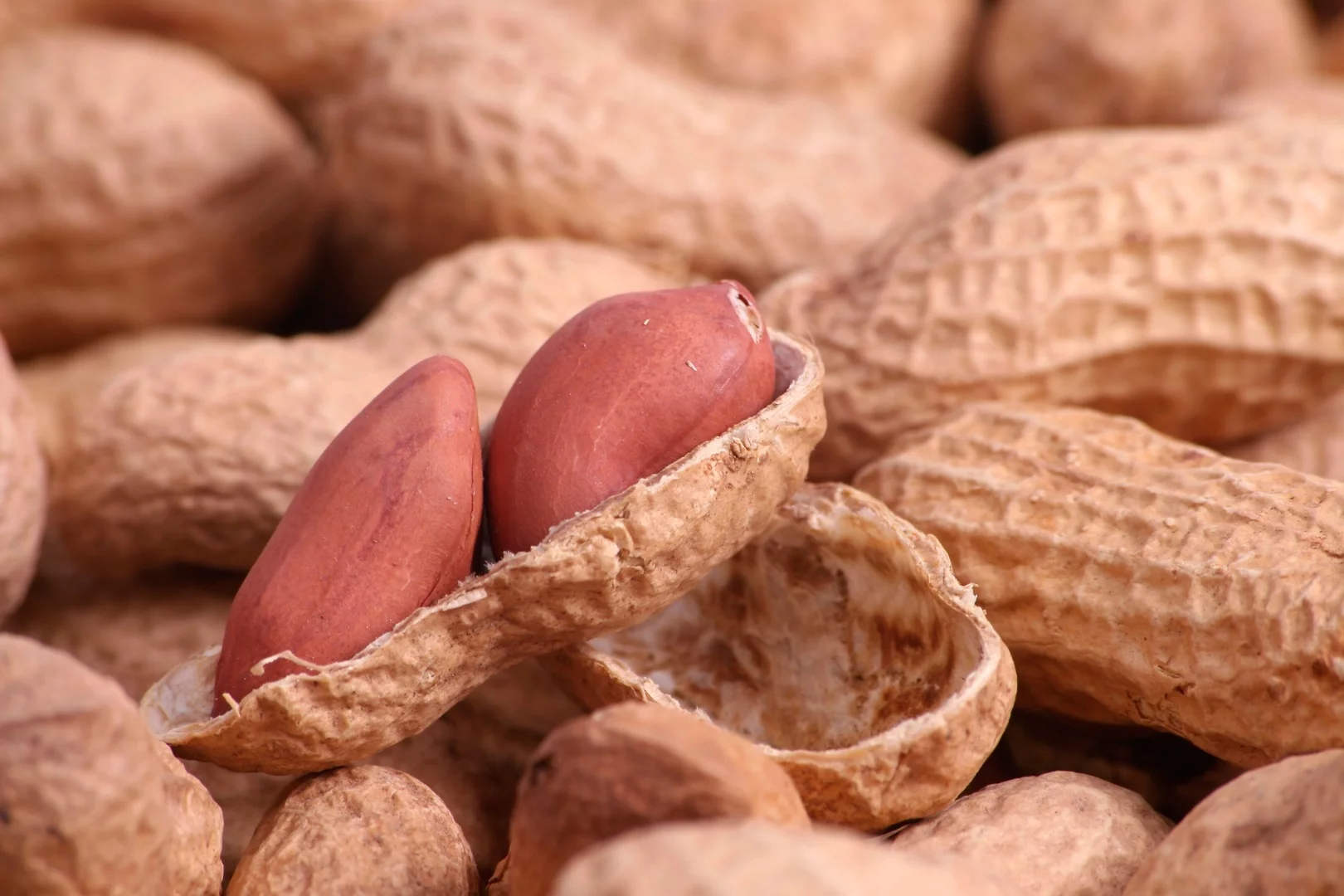 A new nasal spray could help vaccinate against peanut allergies