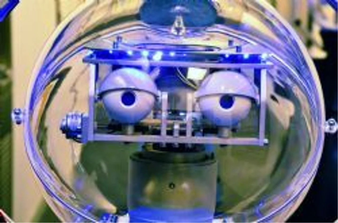 Linda is capable of learning from experience about its surroundings