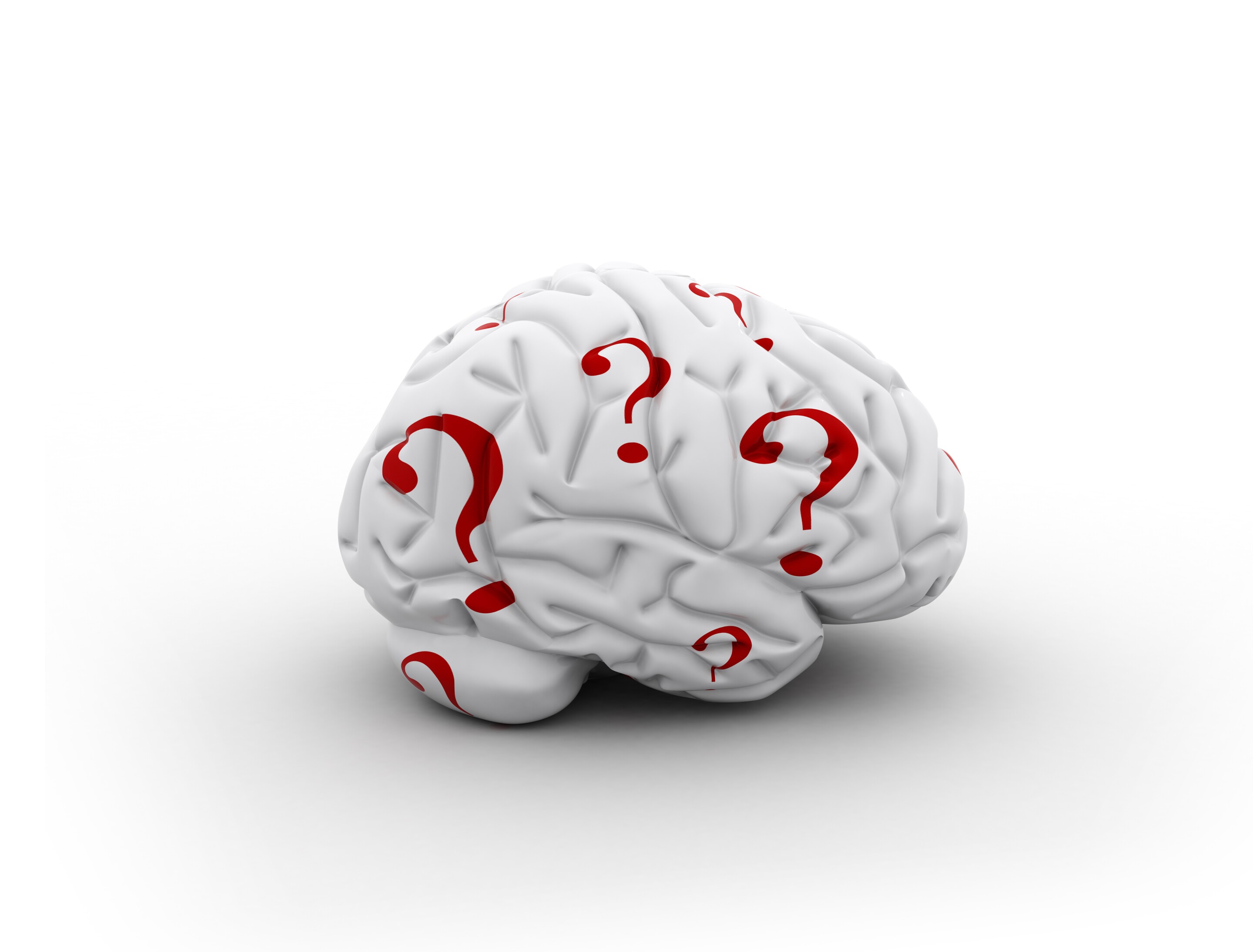 Genius Swedish computer program has IQ of 150