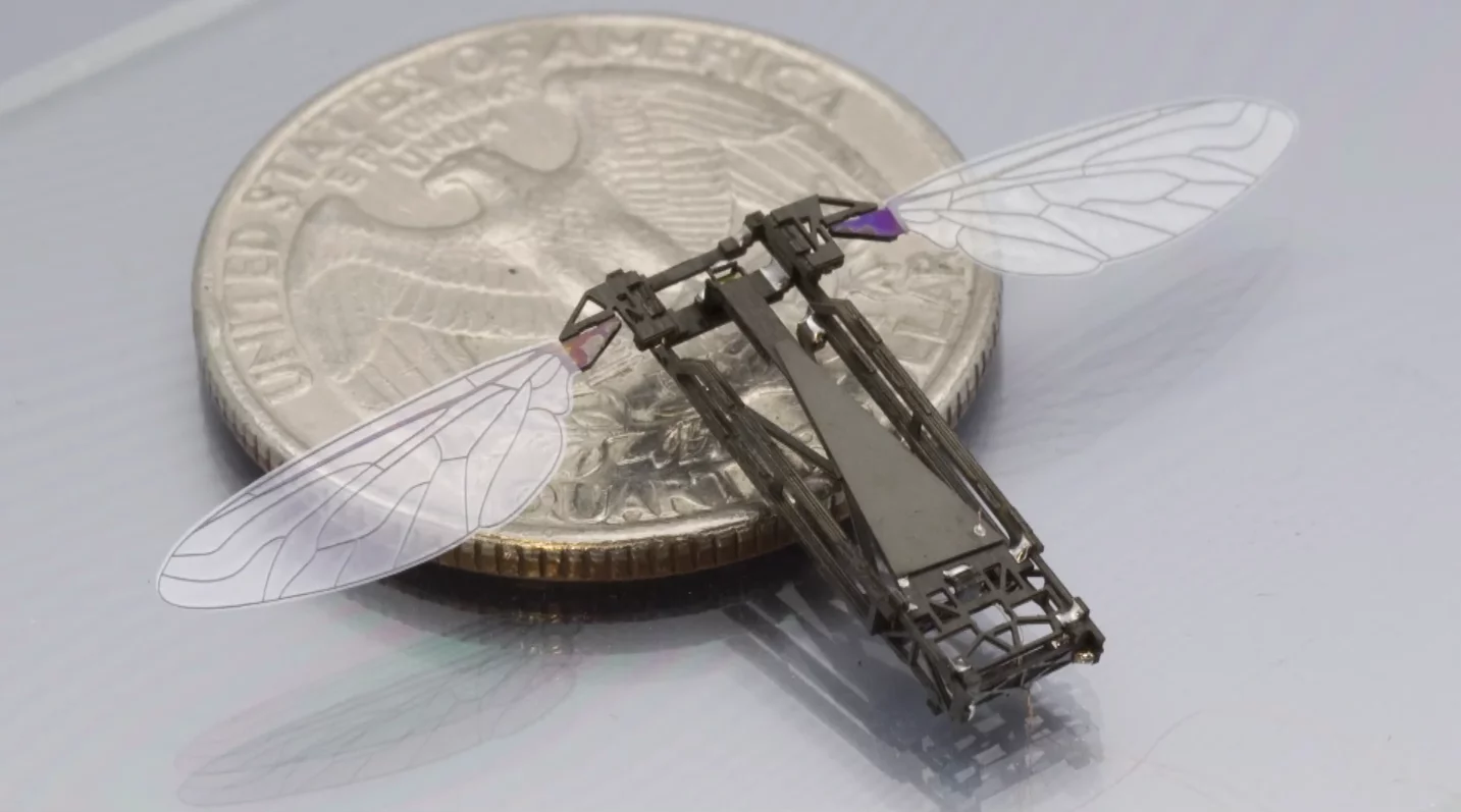 Inspired by origami and children's pop-up books, Harvard engineers have pioneered a means of mass-producing bee-sized flying microrobots from flat laminated sheets