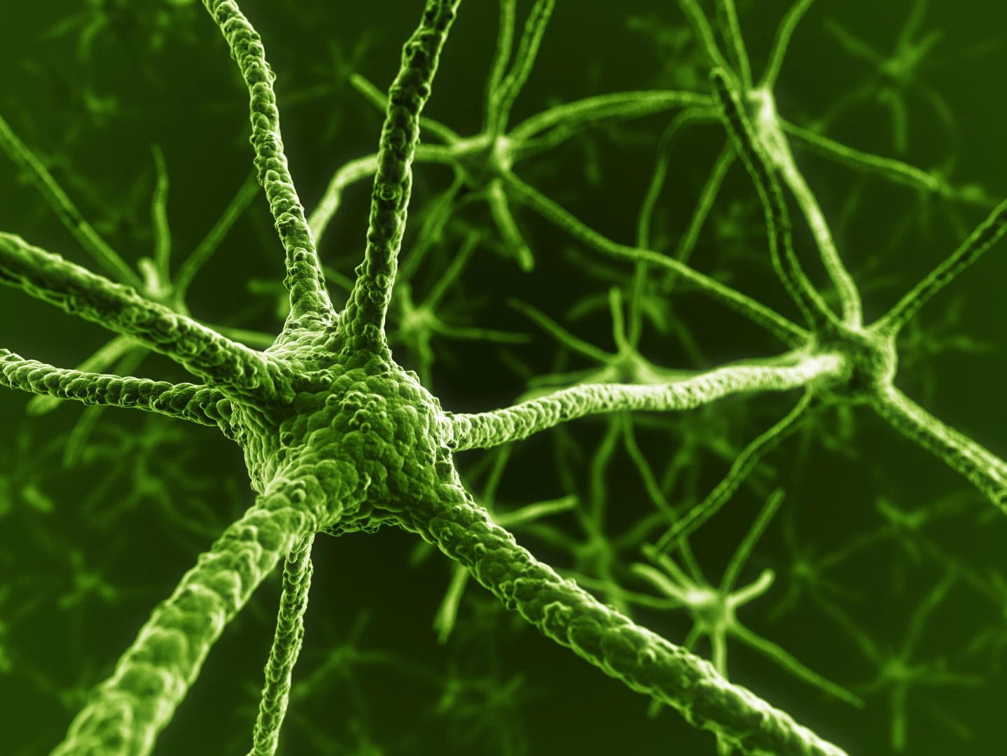 Transforming human immune cells found in a regular blood sample into functional neurons will allow for clearer laboratory study into a variety of neurodevelopmental disorders