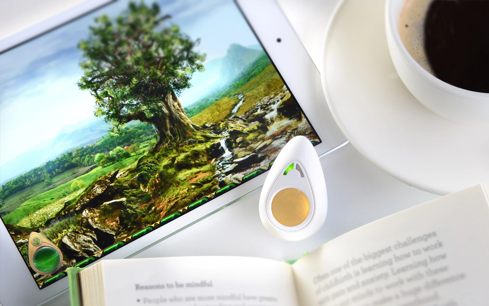 The Pip's small size and accompanying app make it easy to use just about anywhere