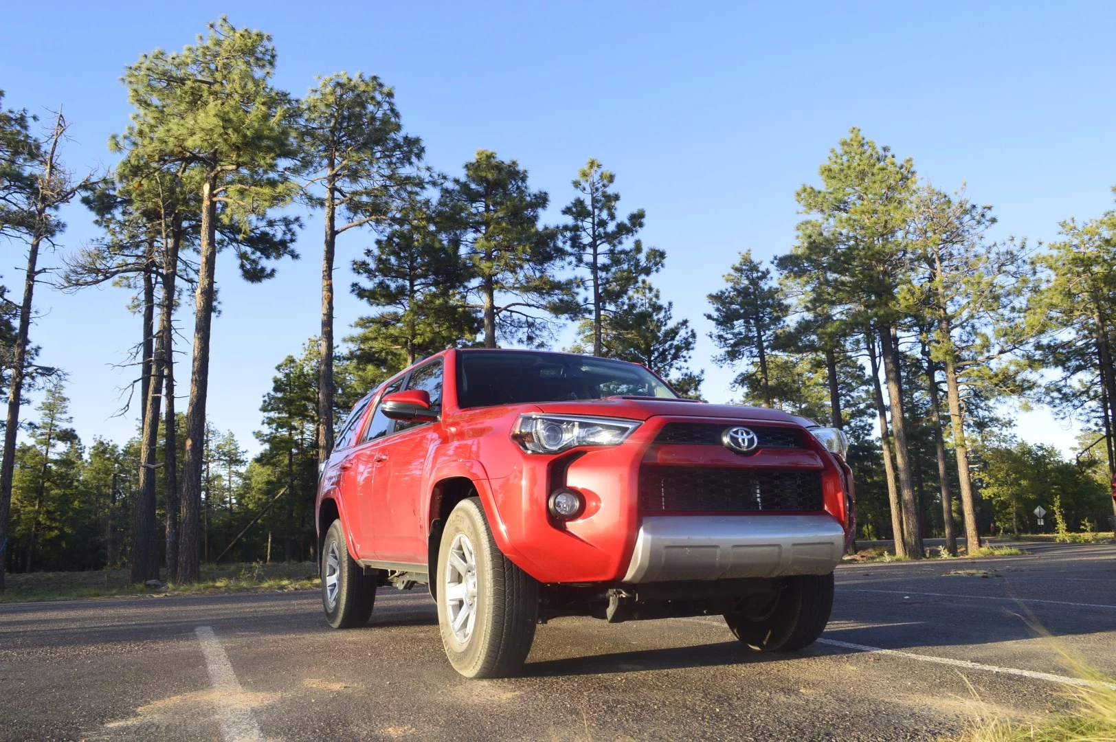 Driving and camping Forest Road 300