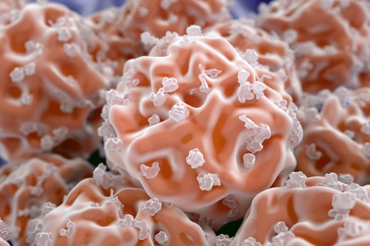 Researchers have discovered a new type of progenitor cell