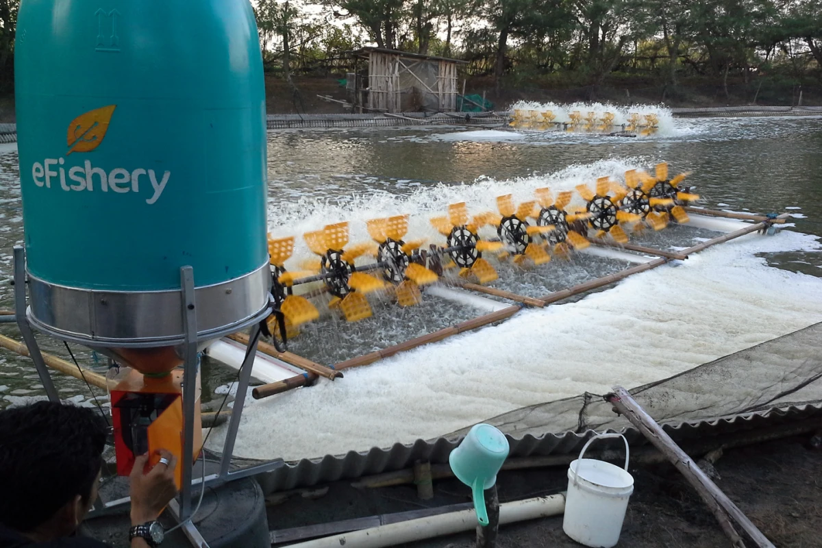 eFishery’s automatic smart feeder uses sensors to detect hungry fish behavior and dispense the right amount of feed