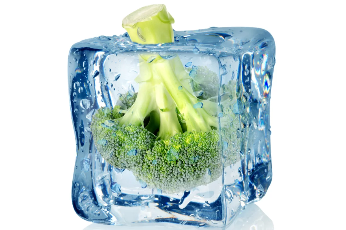 Researchers have found a simple way to preserve broccoli’s cancer-fighting properties after freezing (Image: Shutterstock)
