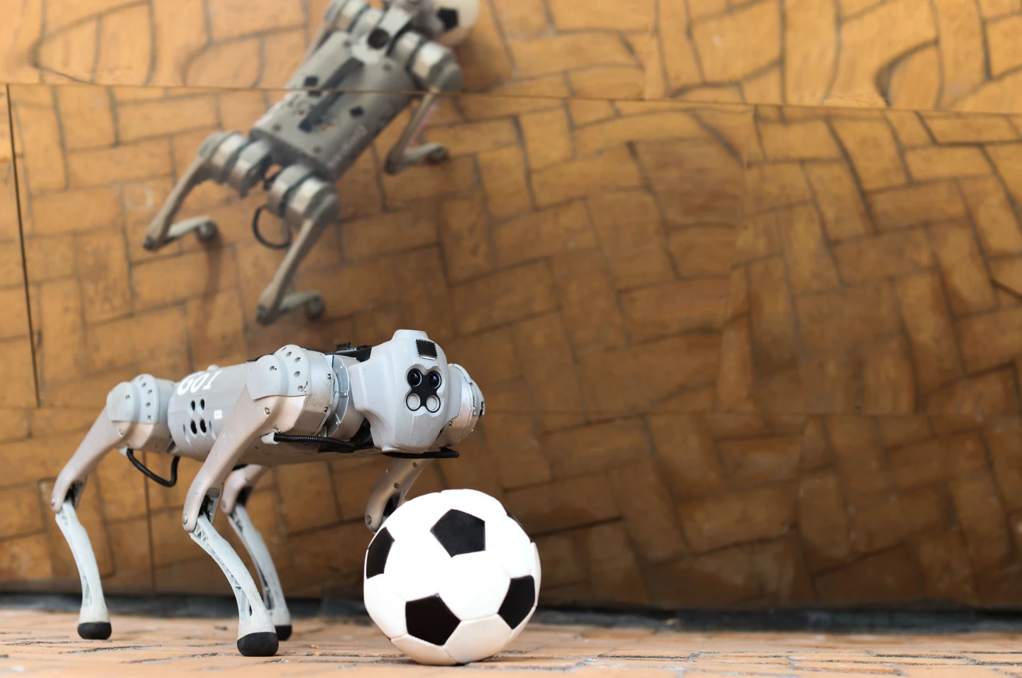 DribbleBot learns by trial and error tempered by rewards