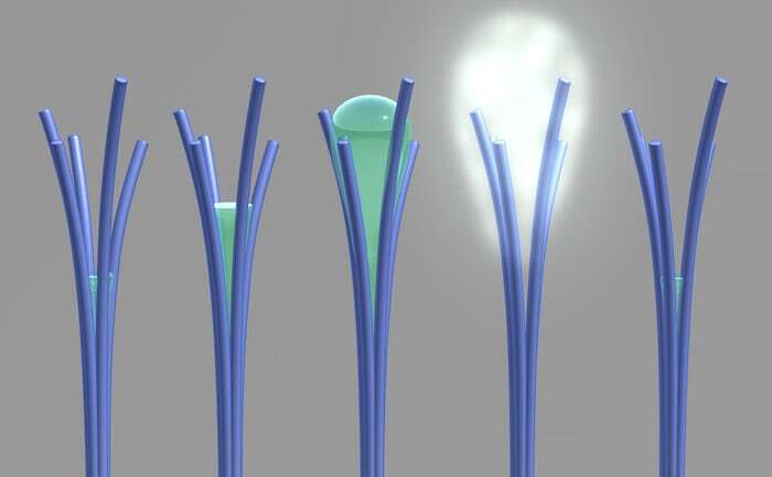 Researchers have accidentally created nanorods that can absorb water at low humidity and expel it as the humidity increases