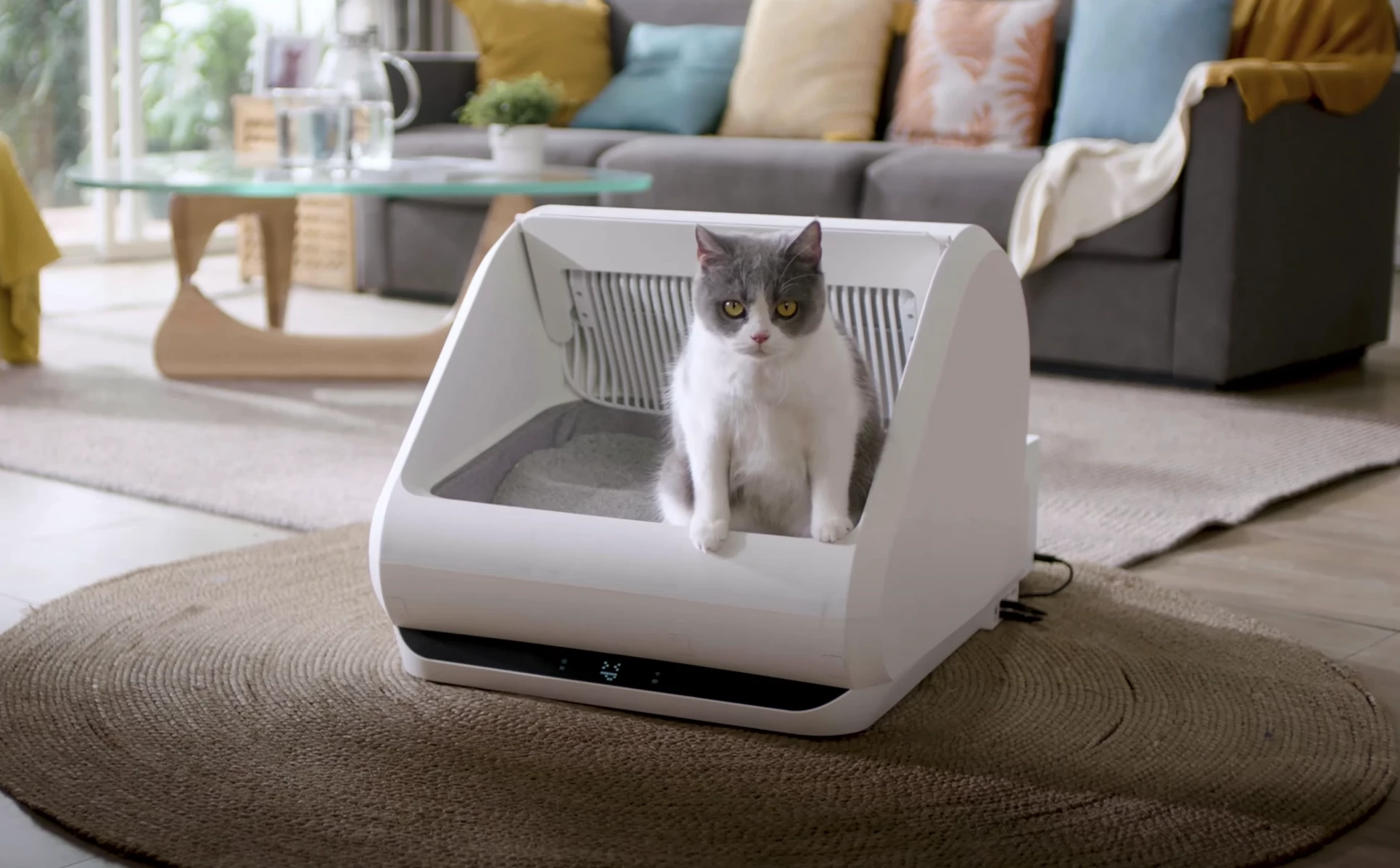 Popur is designed to clean up cat litter