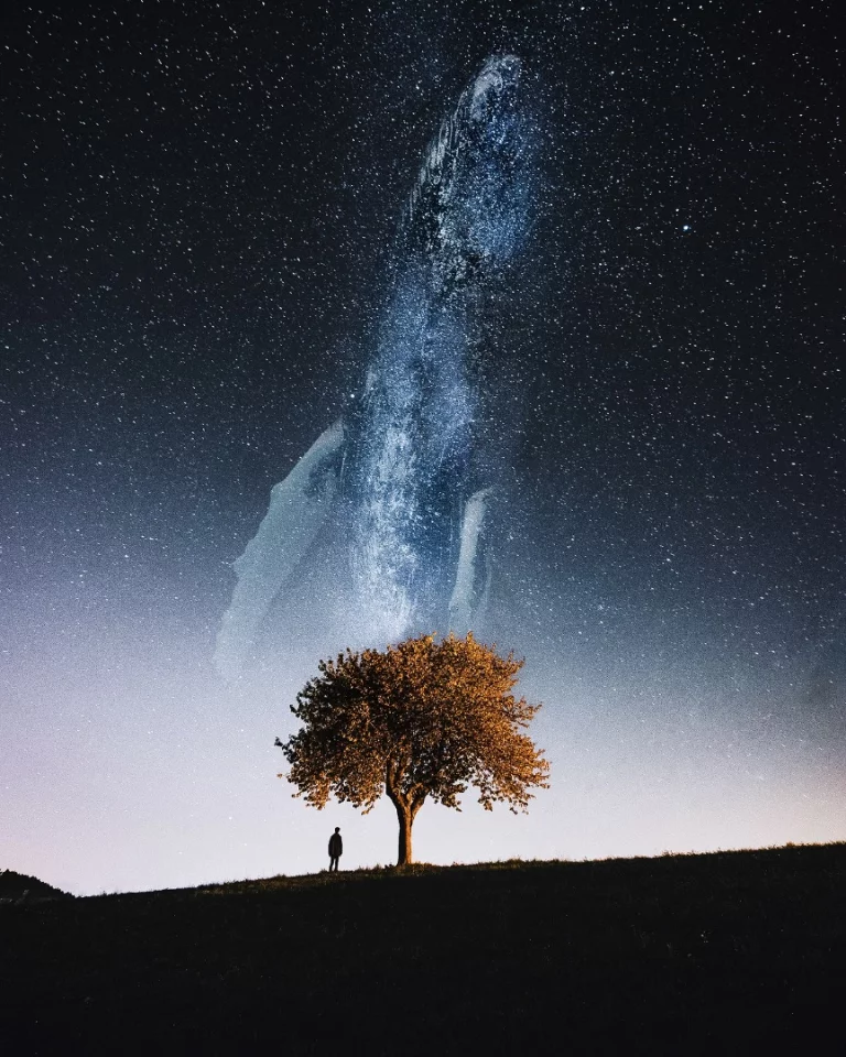 Milkywhale (Credit: Justin Peters CC BY-NC-ND 4.0)