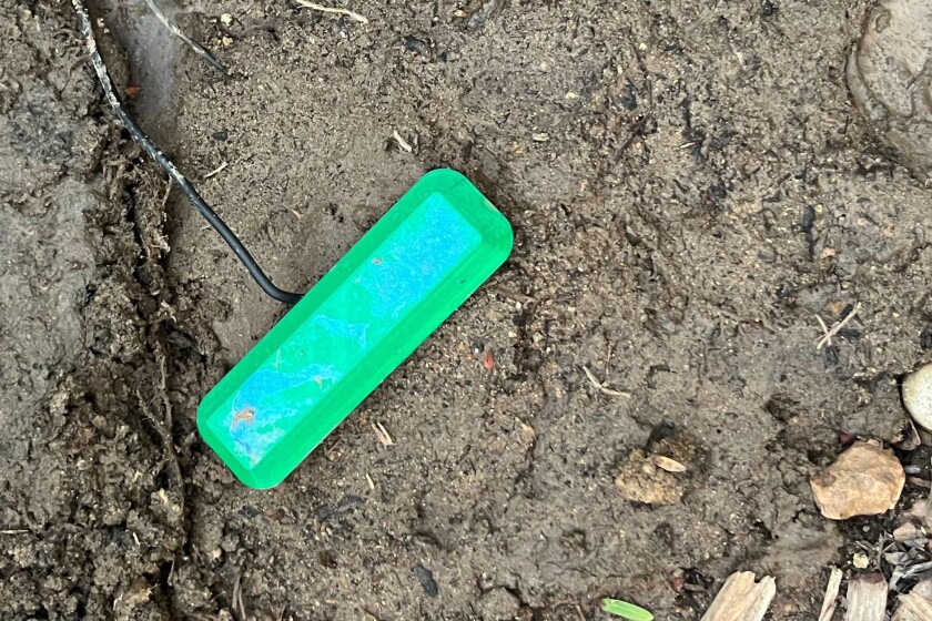 A groundbreaking innovation from Northwestern University showcases a compact device capable of producing electricity by harnessing the power generated as microbes decompose soil, as long as there is carbon present.