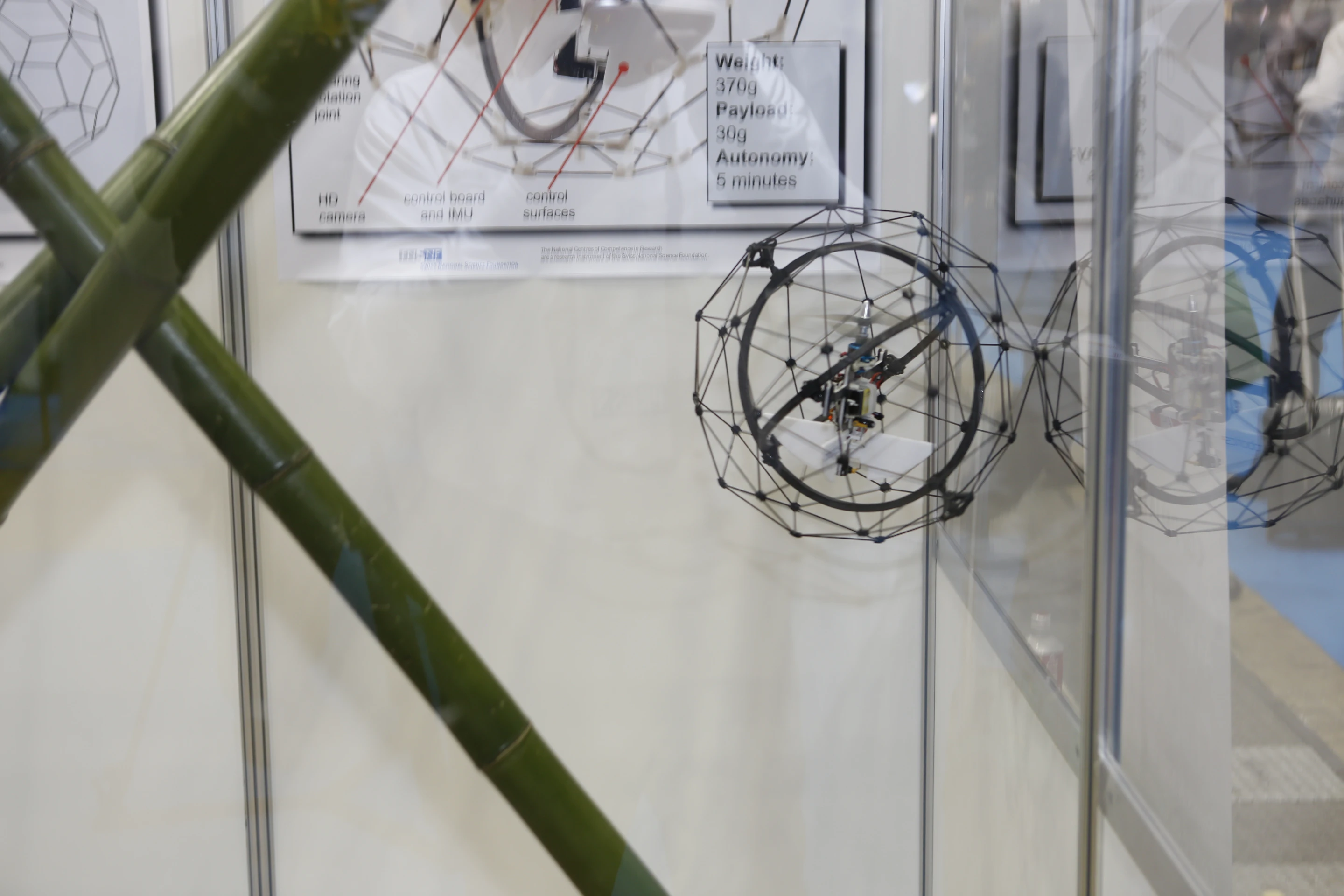 Gimball bounces off a window at IREX