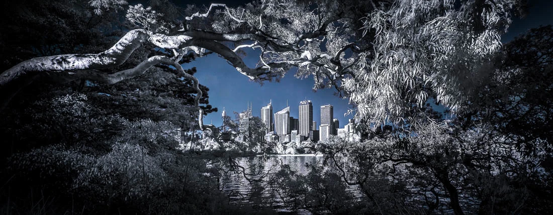 A highlight from the top 50 images in the Amateur, Built Environment / Architecture category