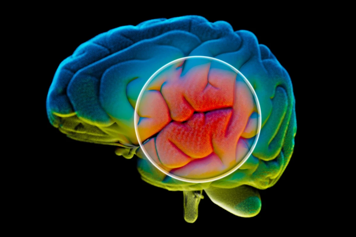 A drinkable cocktail composed of newly discovered polymers may disrupt the early stages of Alzheimer's