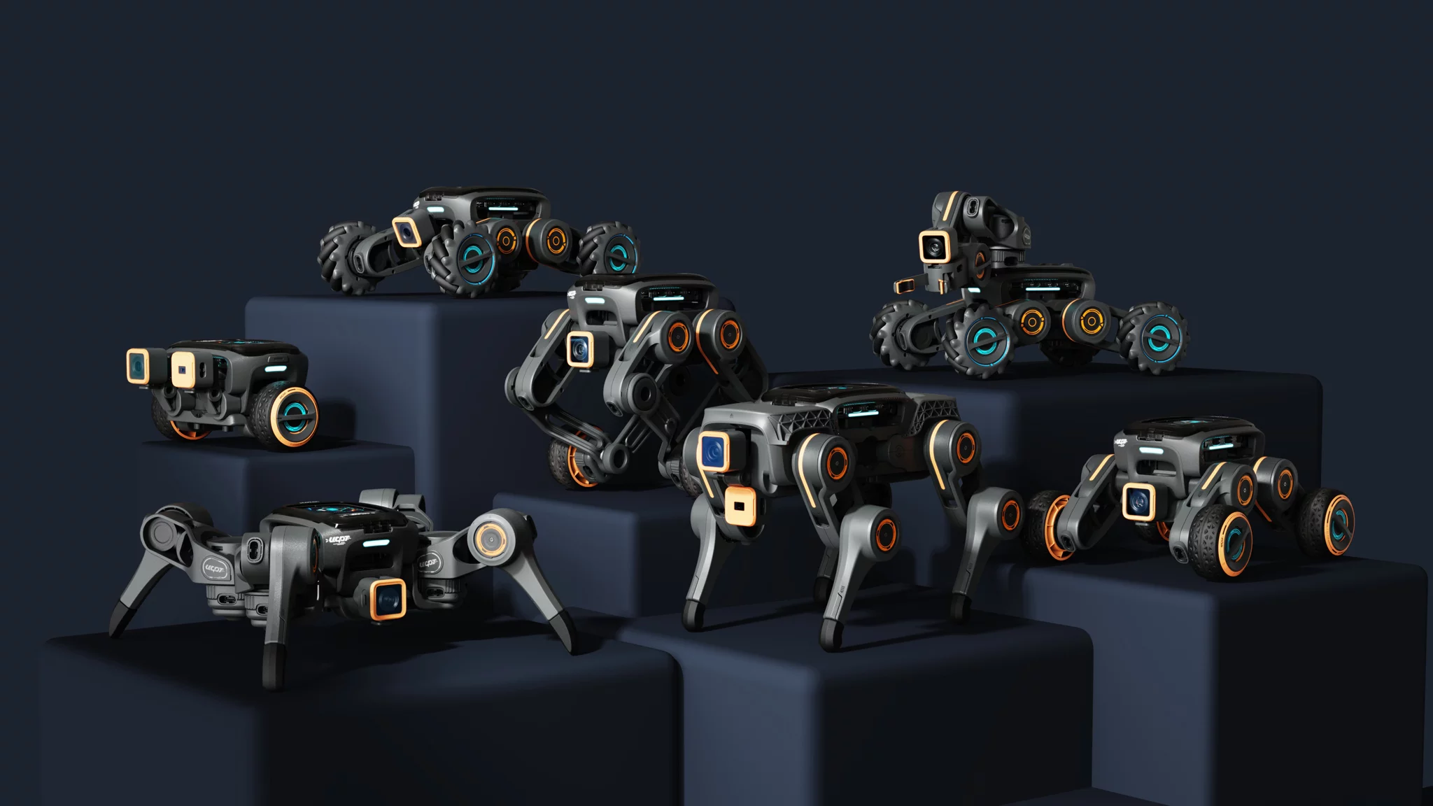 The robots that can currently be built with the kit – future possibilities include humanoid, aerial and aquatic robots