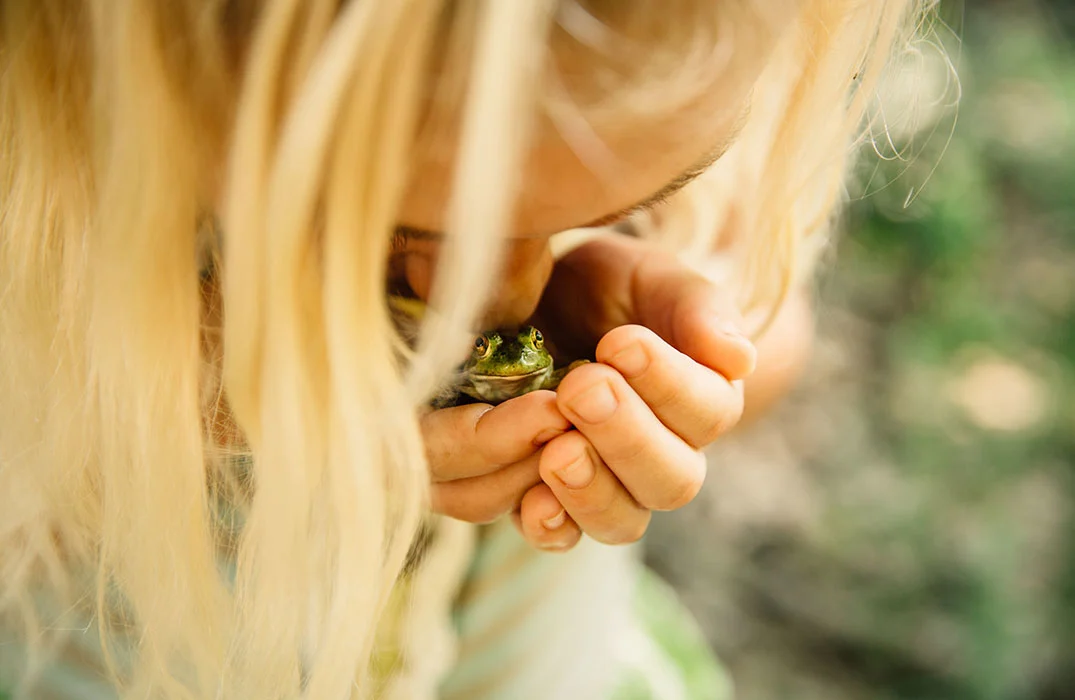 Overall Third Place winner, called Frog Hug, taken in Arkansas