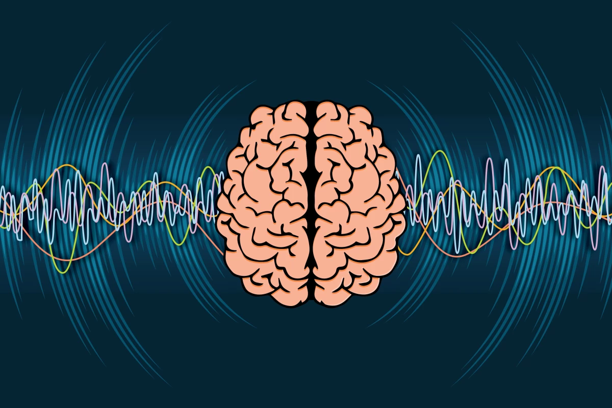 Gamma rhythms are key to how we process information in our brain