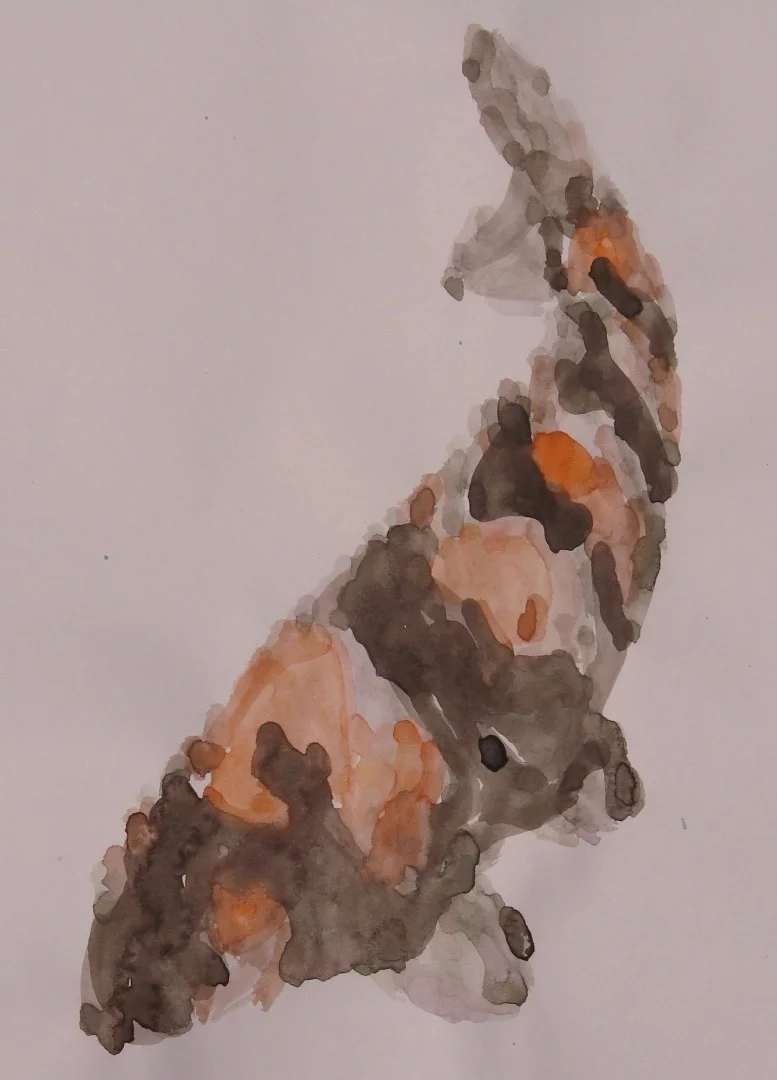 Koi by Late Night Projects