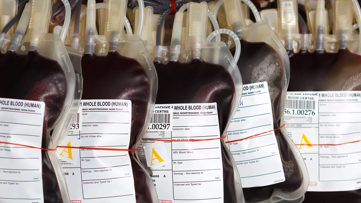 An artificial blood substitute being developed at the University of Essex could help overcome the worldwide shortfall in blood donations (Photo: Shutterstock)
