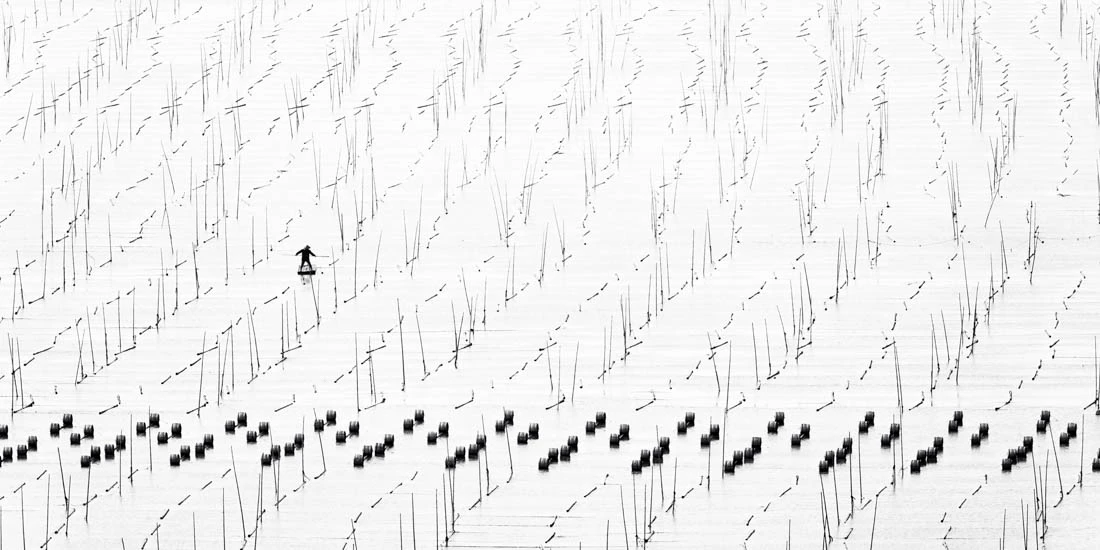 Highest Scoring Image from Film Capture / Highest Scoring Aerial Image (Tied Score)