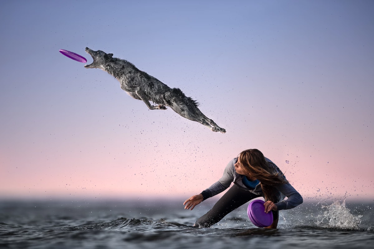 International Photography Awards. 2nd Place / Oneshot : Movement/Nature