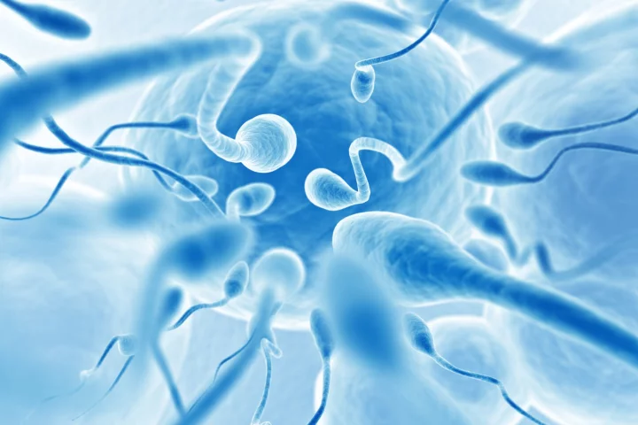 A new epigenetics experiment has found that the ambient temperature that male mice live in can affect their offspring