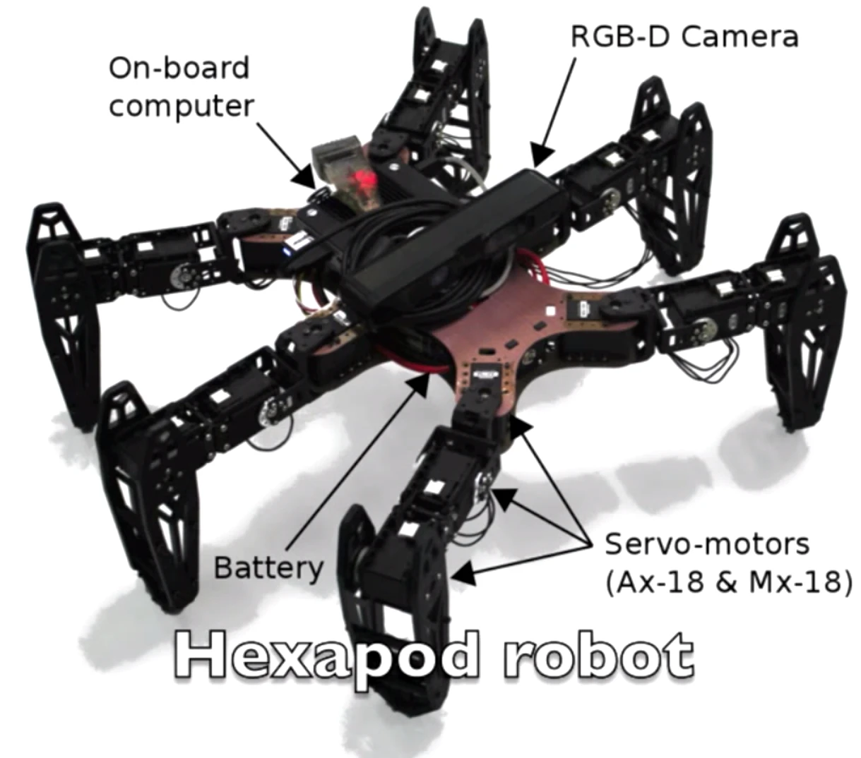 Developed by roboticists at the Pierre-and-Marie-Curie University, the hexapod uses what the team calls a T-resilience (the T standing for Transferability-based) algorithm