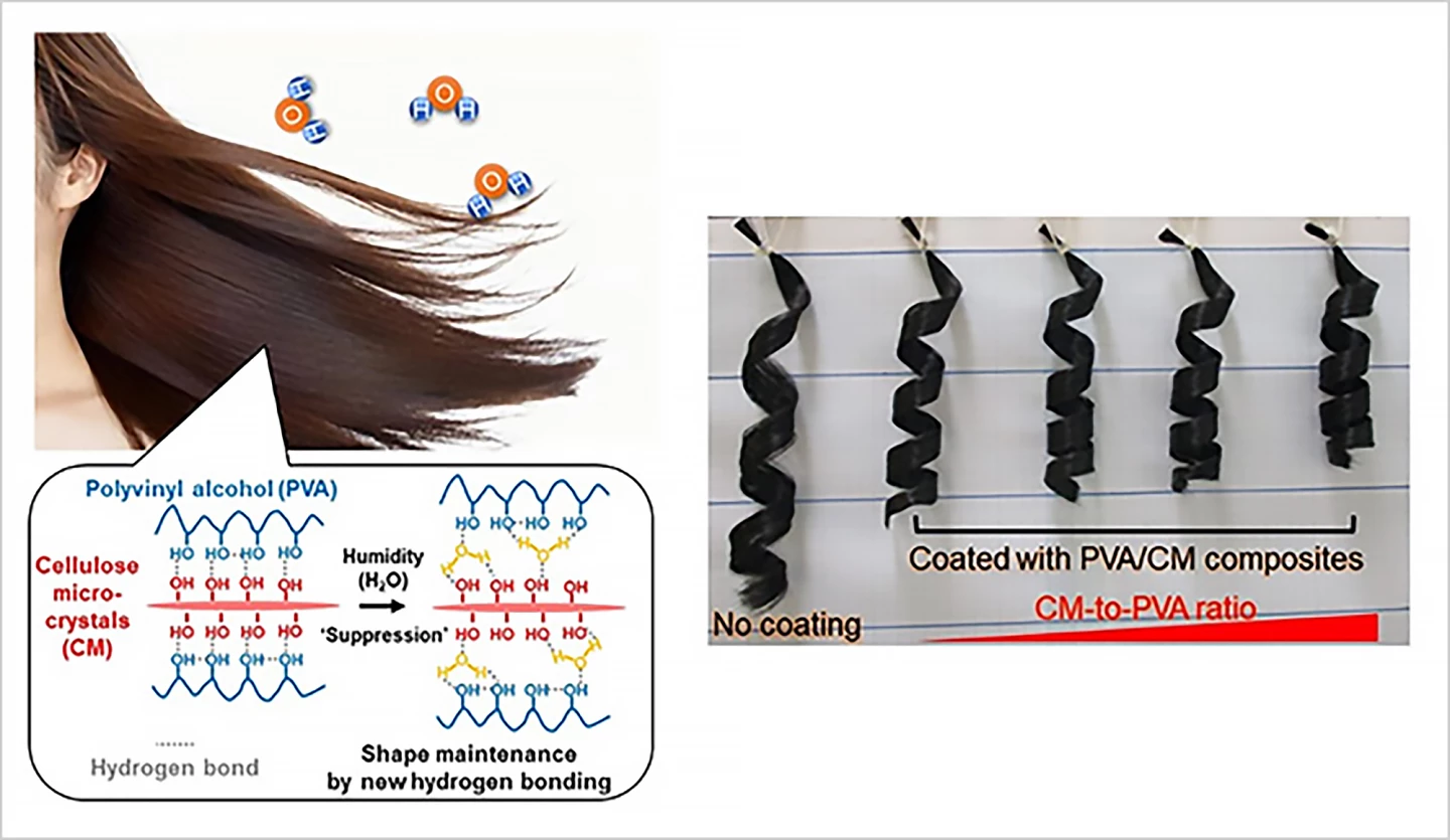 The combination of PVA and cellulose microcrystals allowed hair to keep and recover its curl