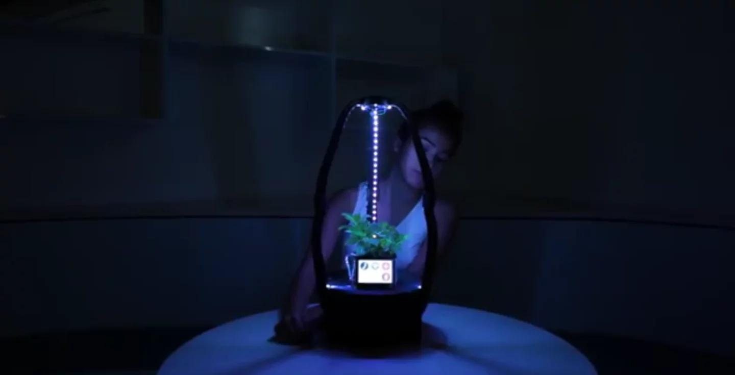 The AstroGro system has artificial intelligence monitoring to ensure ideal growing conditions