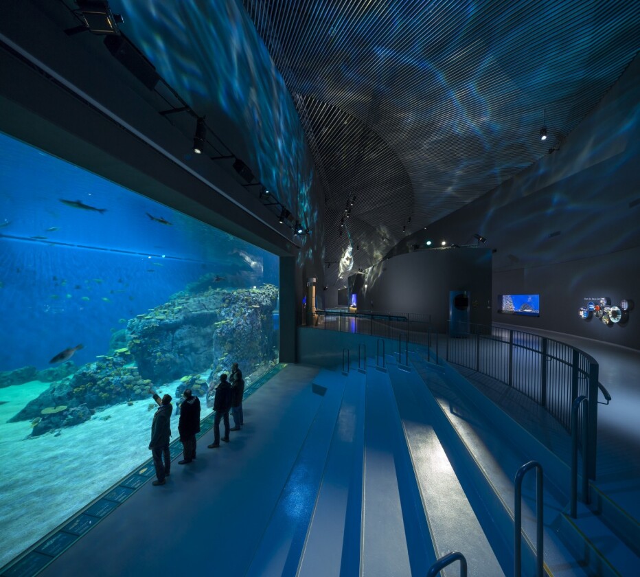 Different sections of the aquarium branch off from a central room called the Round Room