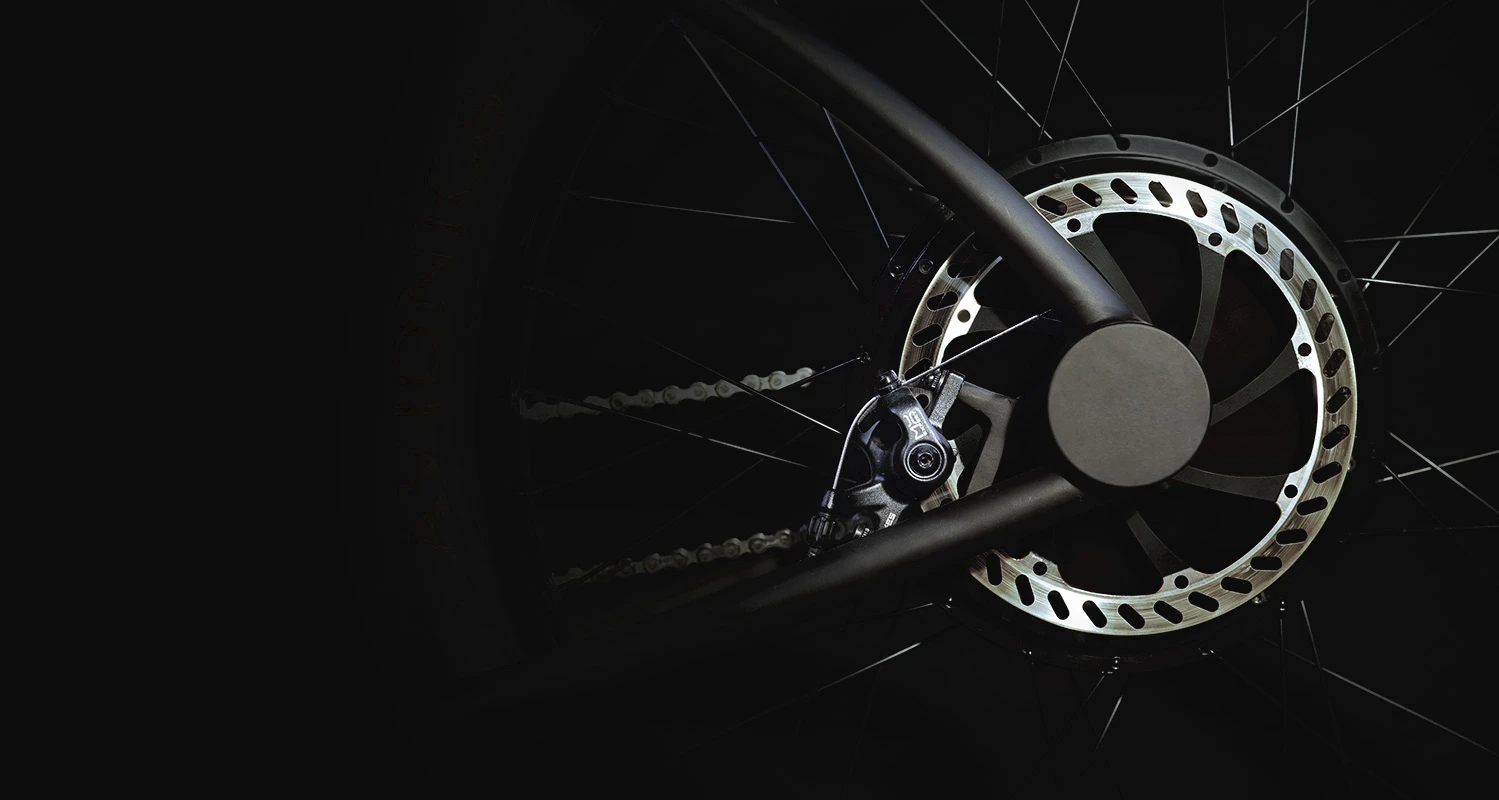 Avionics V1: rear disc brake