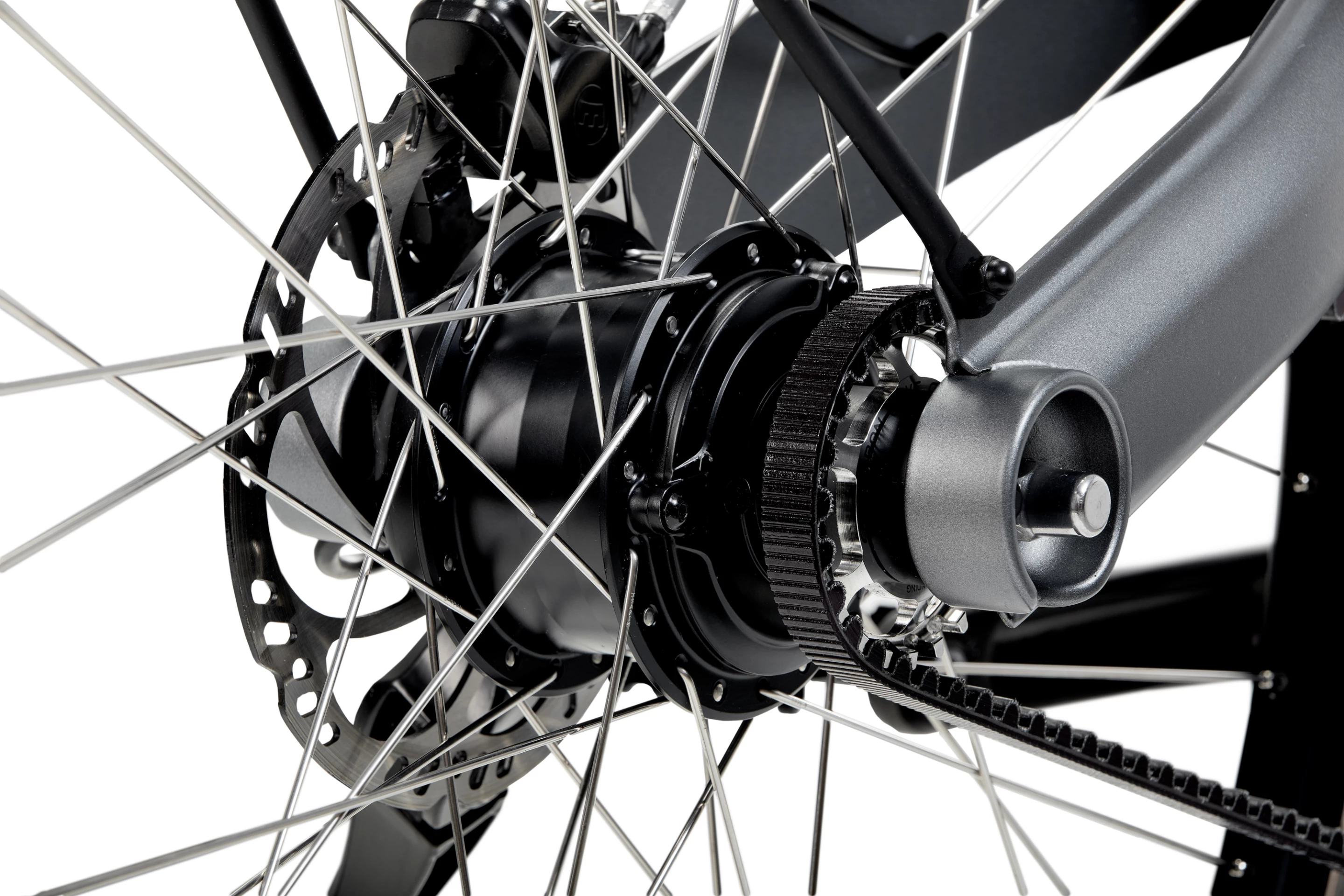 The 250-W rear hub motor provides assist up to 25 km/h
