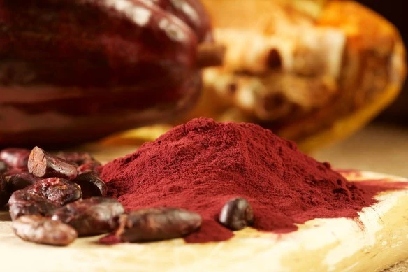 Cocoa flavanols, naturally occurring compounds in cocoa, can reverse age-related memory decline in healthy older adults (Photo: Mars, Incorporated)