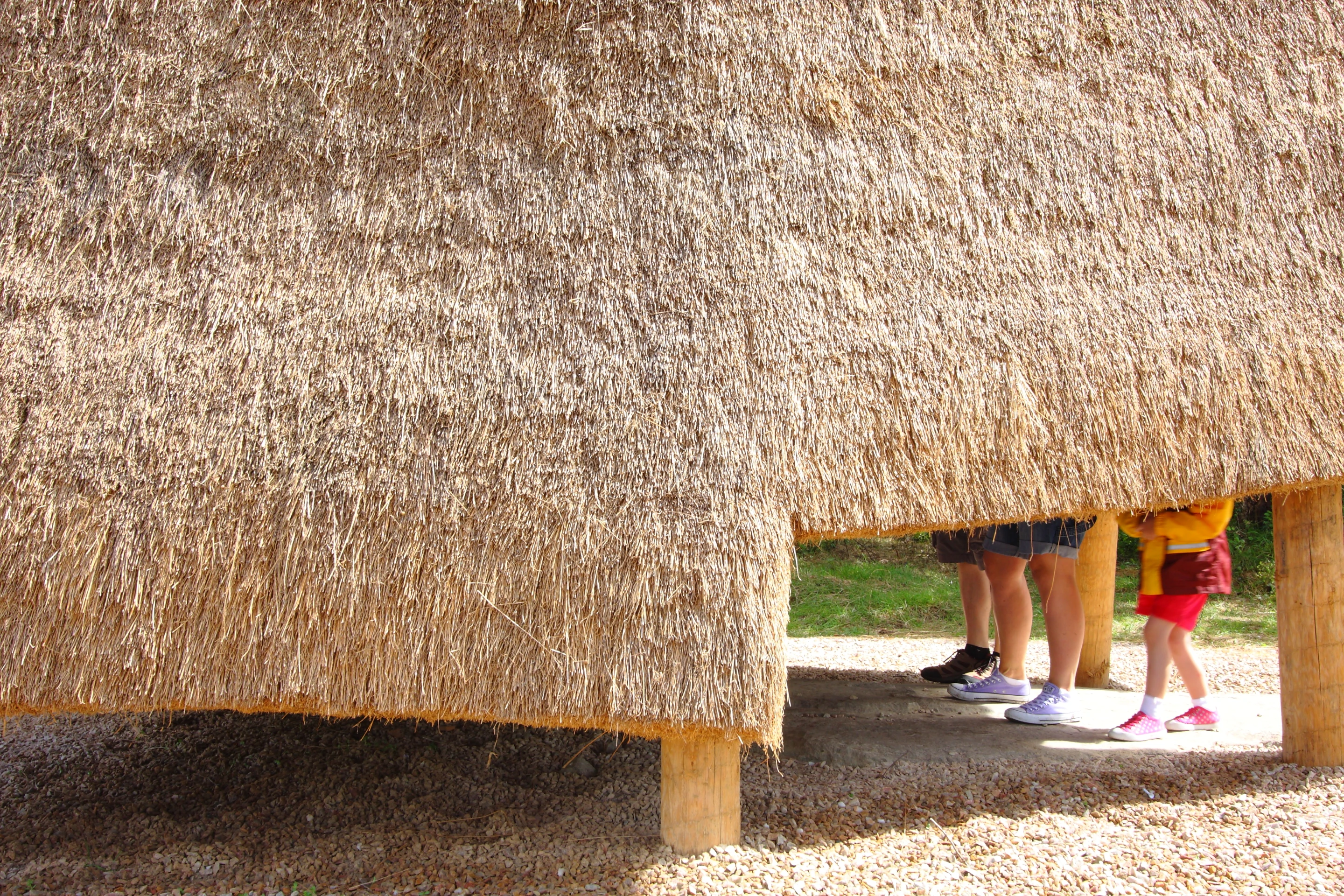 It stands on stilts to be sure that the ground beneath is not unduly disturbed (Photo: Emily Mannion/Thomas O’Brien)