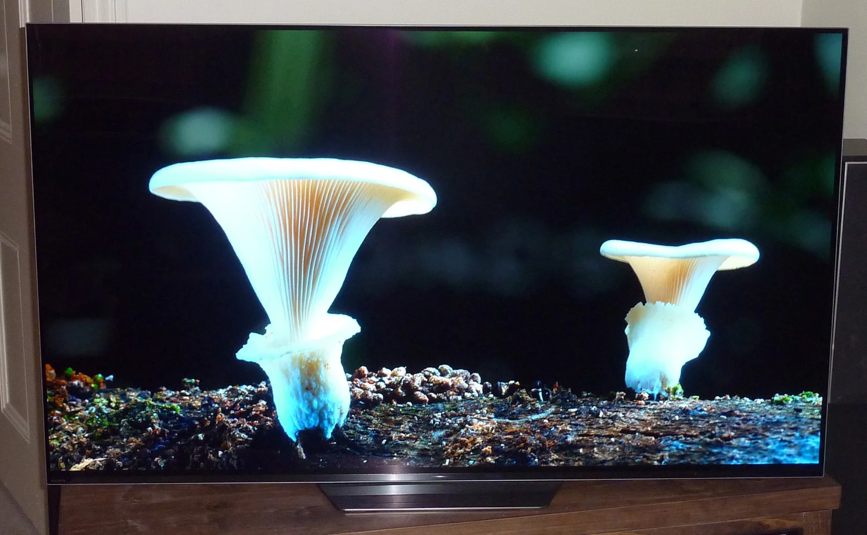 Black level performance is one of the A8F's strengths