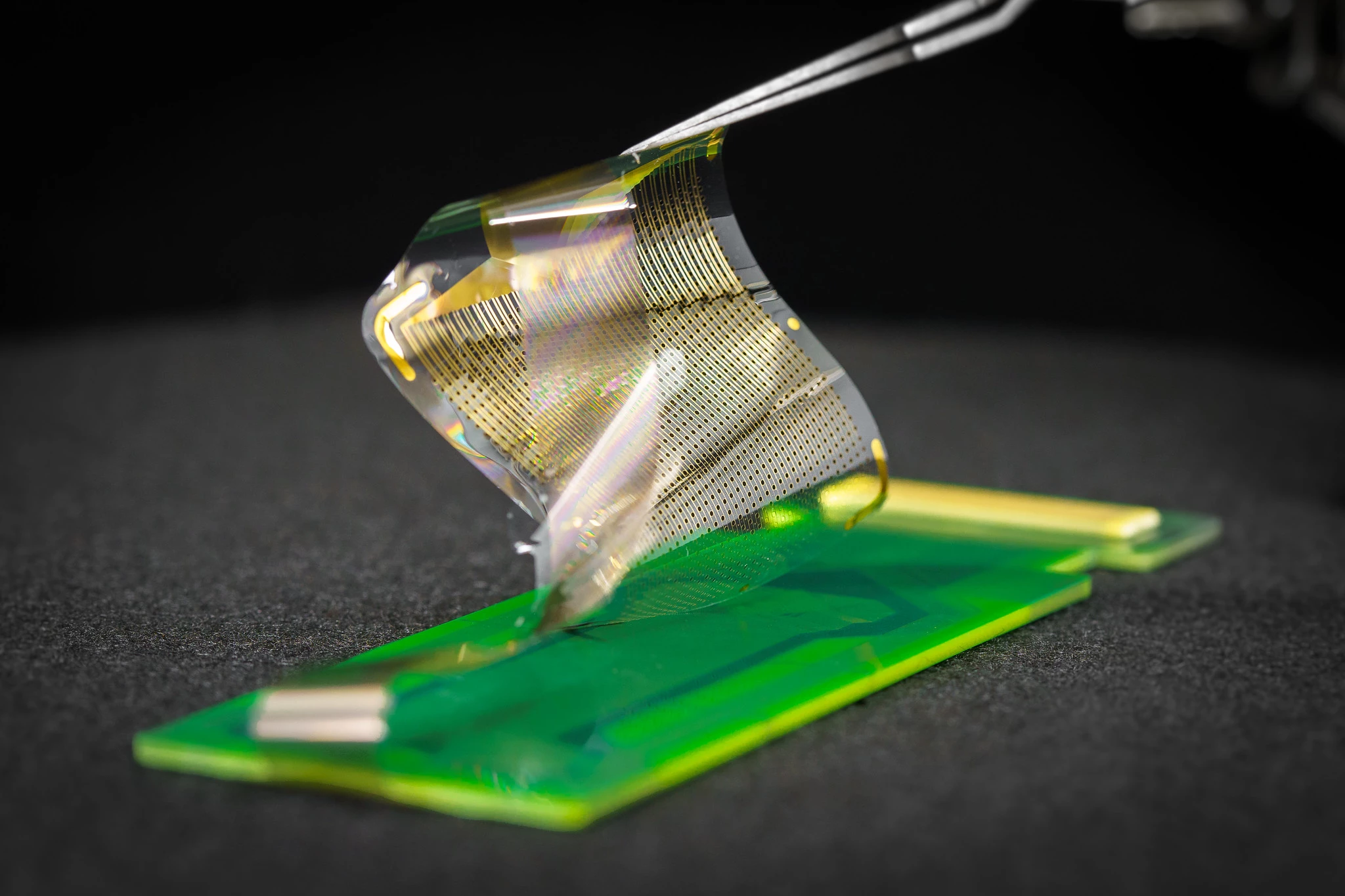 Scientists have developed a novel brain sensor that records electrical activity in unprecedented detail