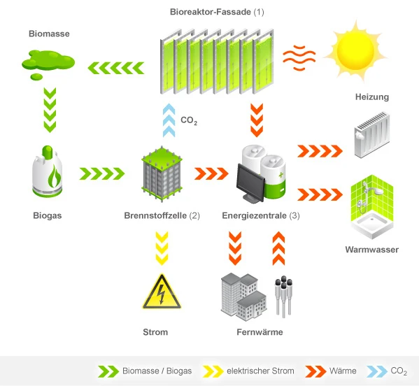 The algae's thick pulp is fermented to provide bio-gas (Image: biq-wilhelmsburg.de)