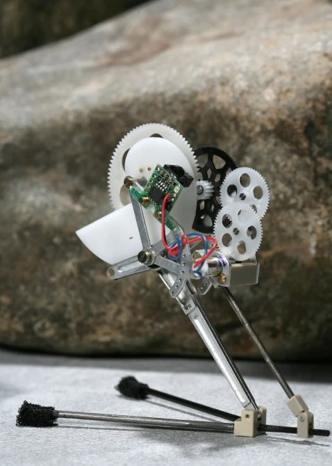 Click image to enlargePhoto: Alain Herzog/EPFL