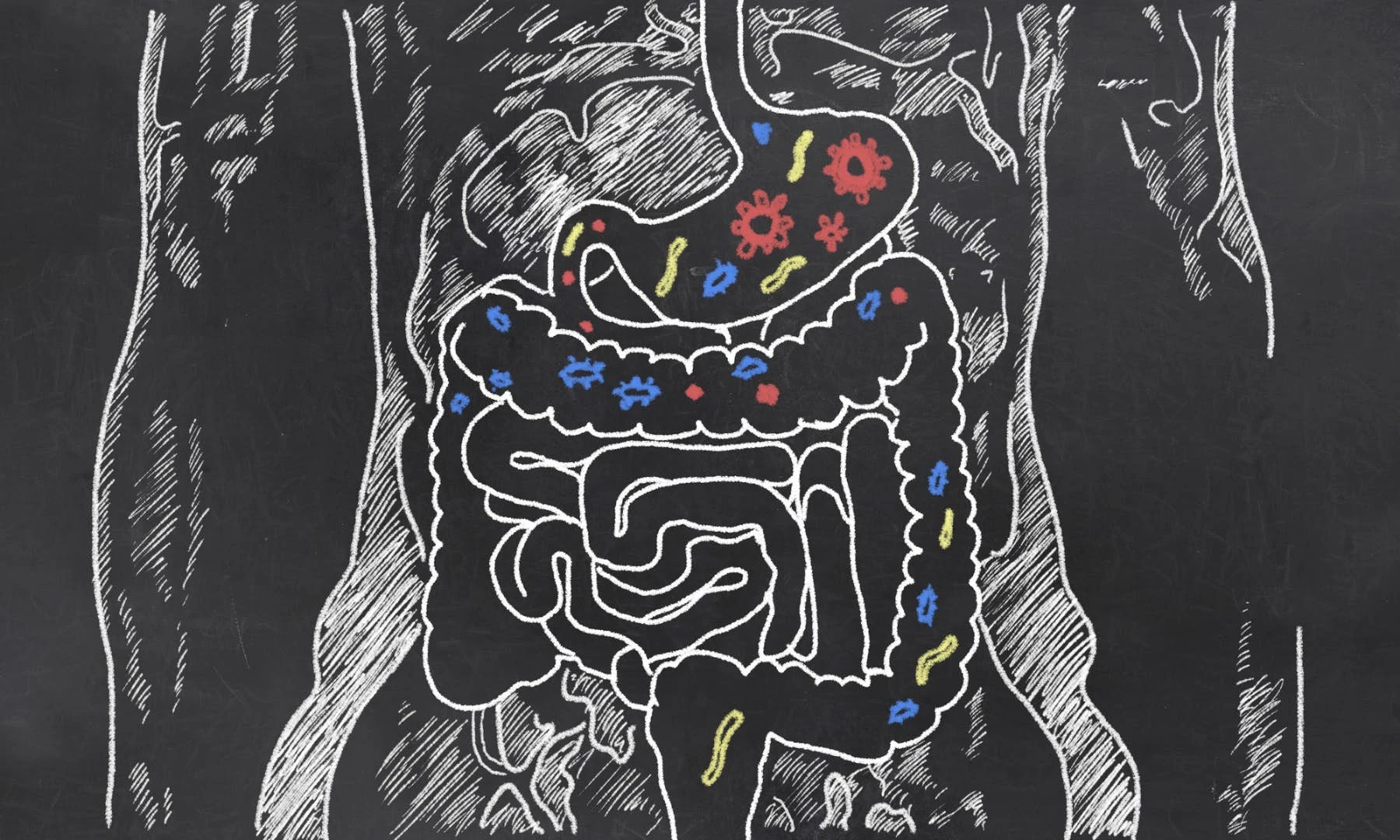 A primer on the state of cutting-edge microbiome research in 2018