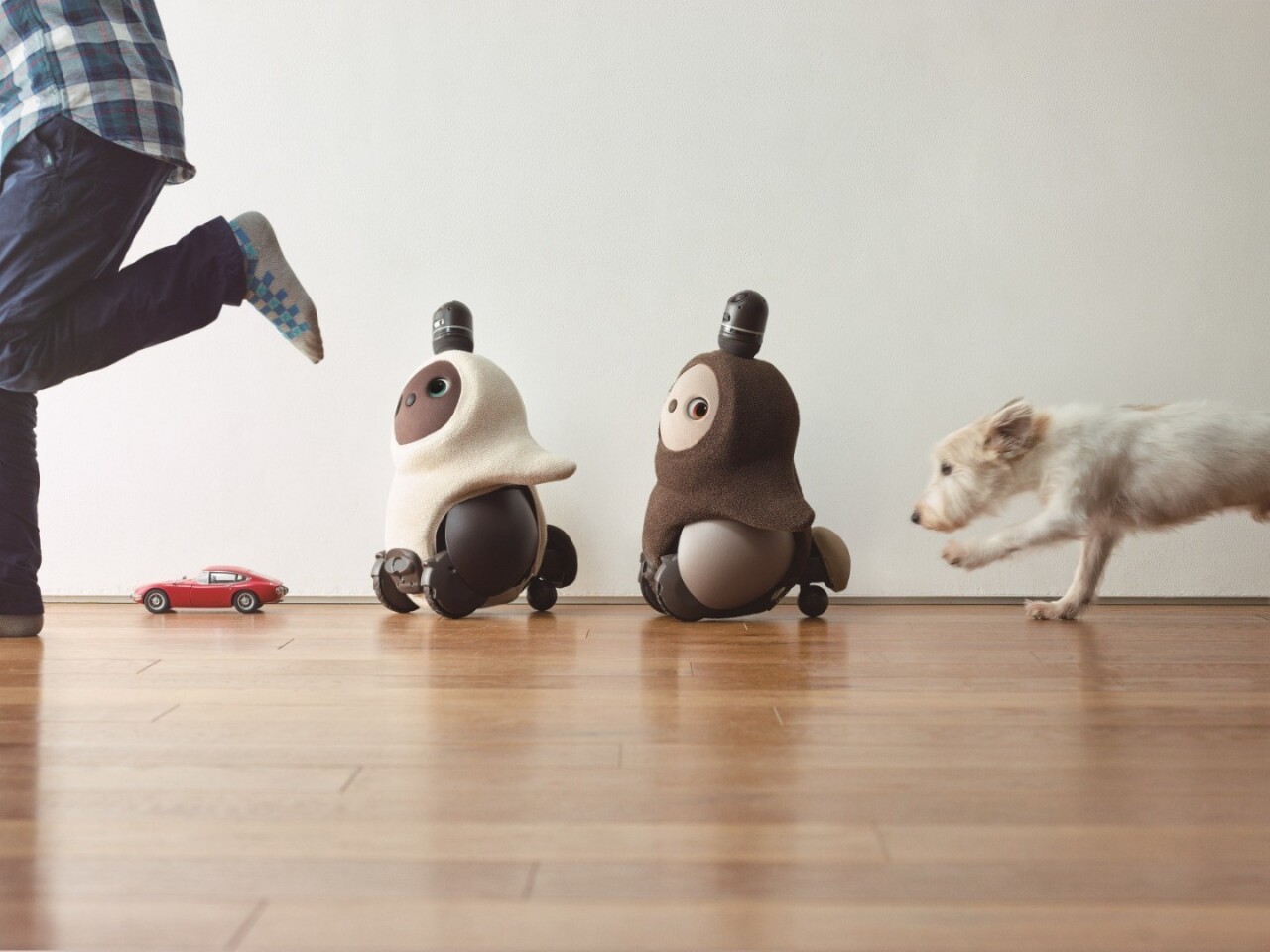 What fun: A pair of Lovots chase a user around the house