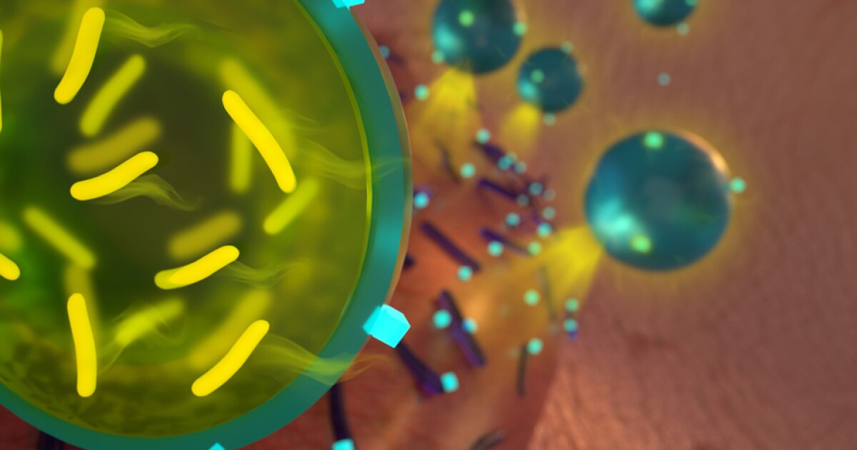 Кишечная палочка фото. Биотехнология микроорганизмов. Всероссийский атлас почвенных микроорганизмов. Щелочная фосфатаза формула химия. Белок синтезированный бактериями.