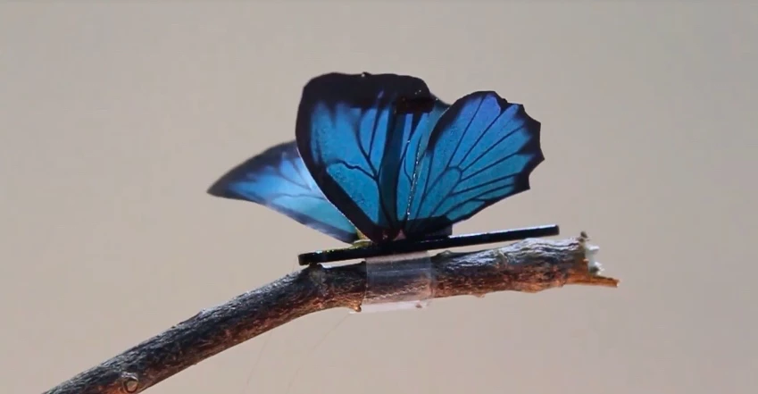 A robotic butterfly, the wings of which are moved by the artificial muscles