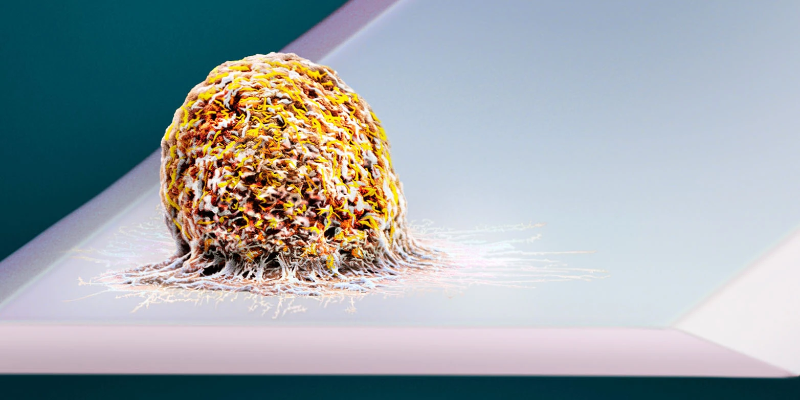 A human cell, ready to be weighed by the device
