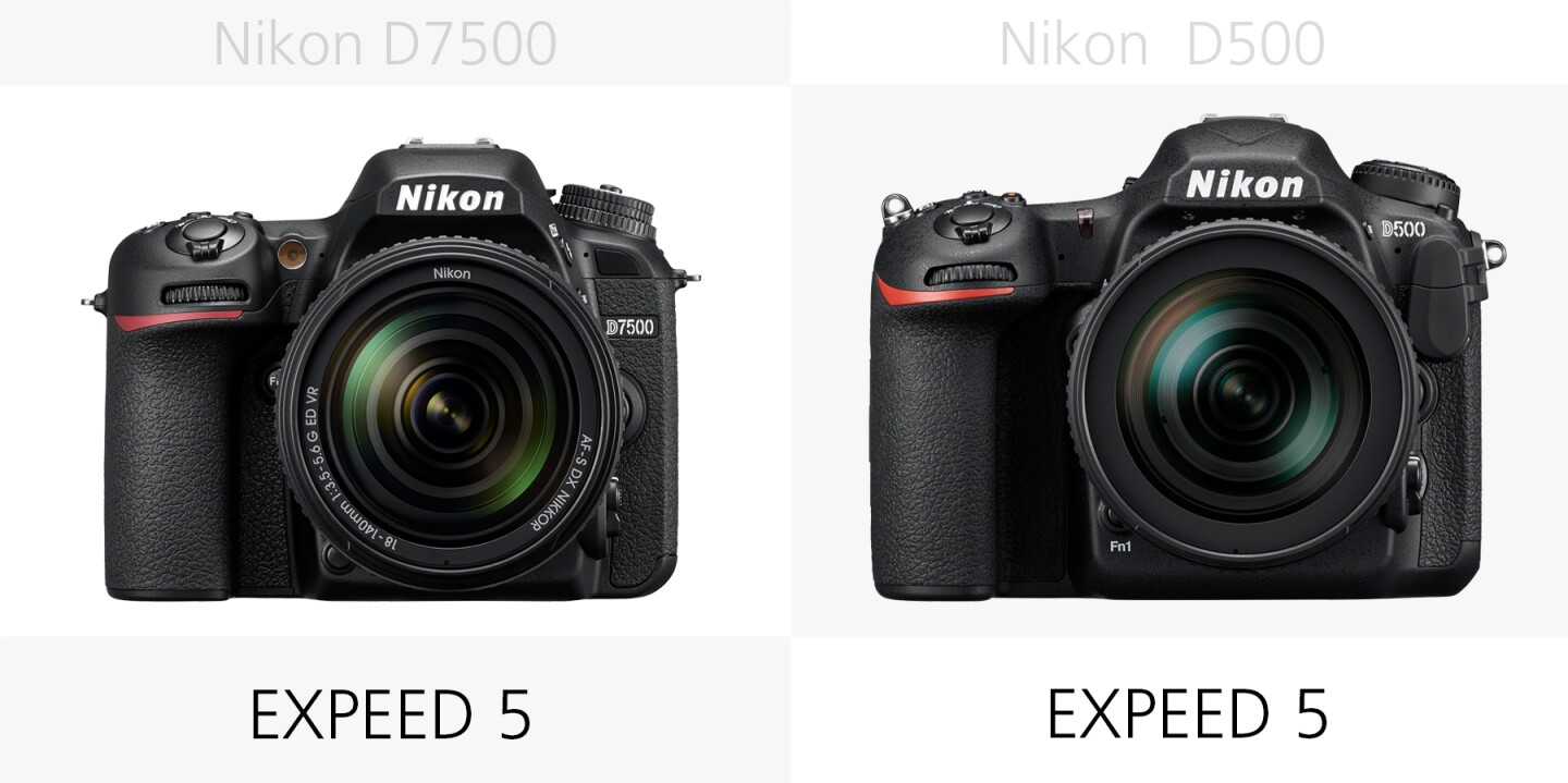 The image processors of the Nikon D7500 and Nikon D500 compared