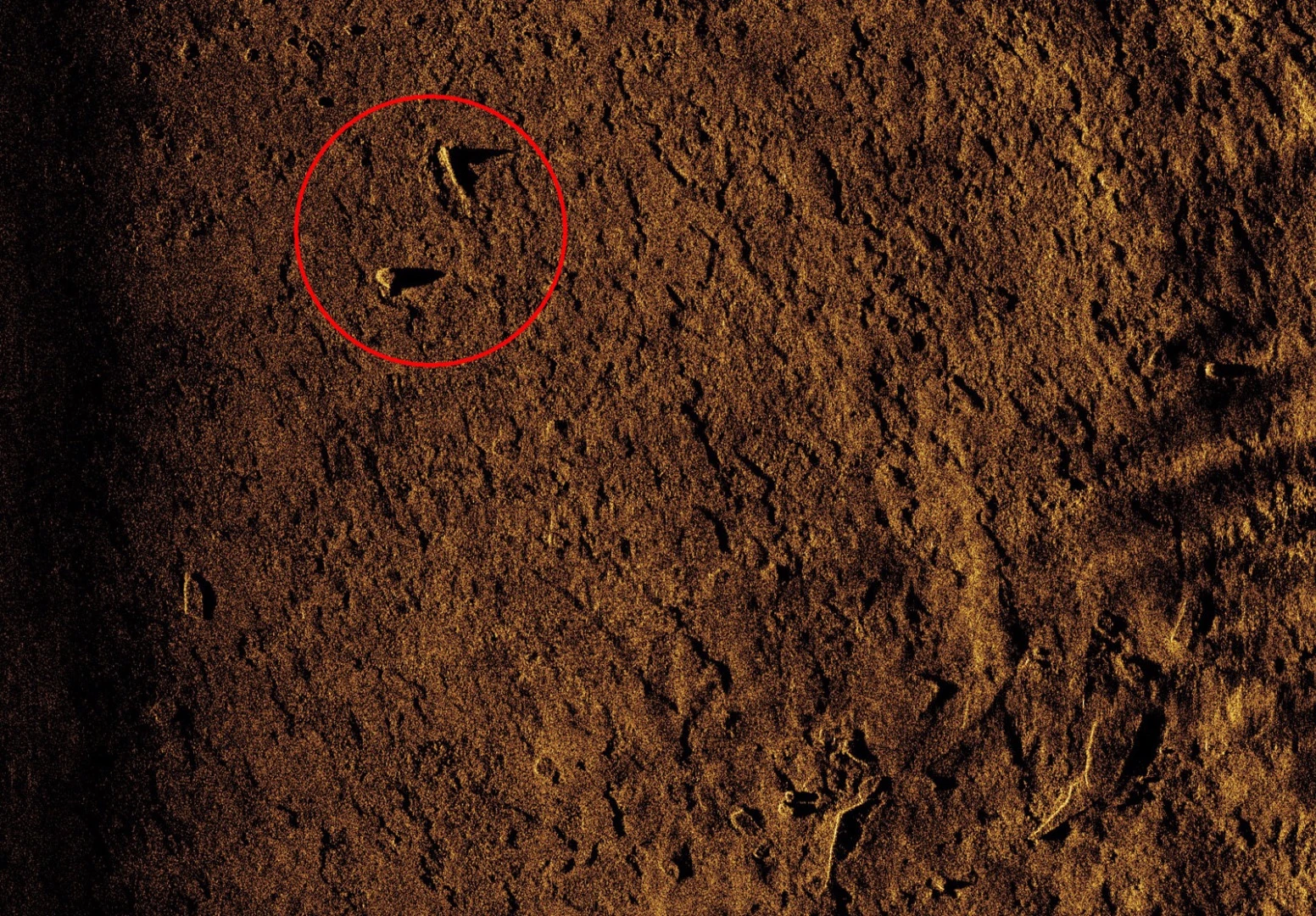 This sonar image from the ThunderFish AUV clearly shows fragments detected in Lake Ontario