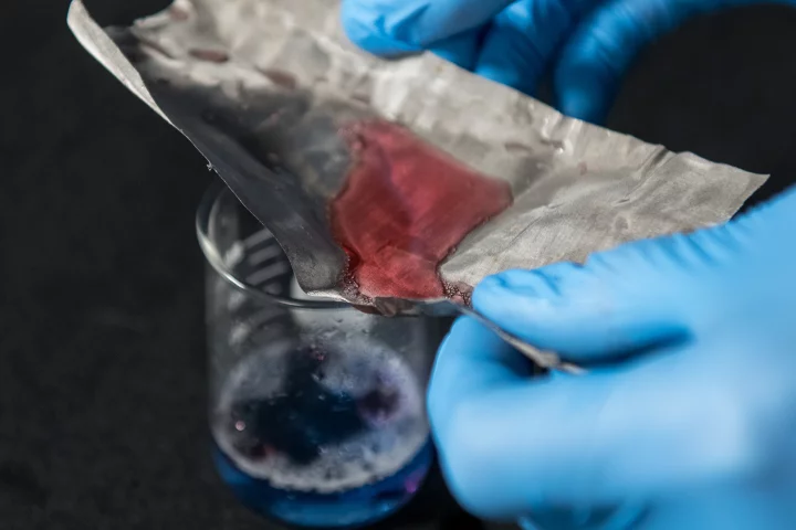 The mesh lets water through (blue) but holds back oil (red) (Photo: Jo McCulty/The Ohio State University)