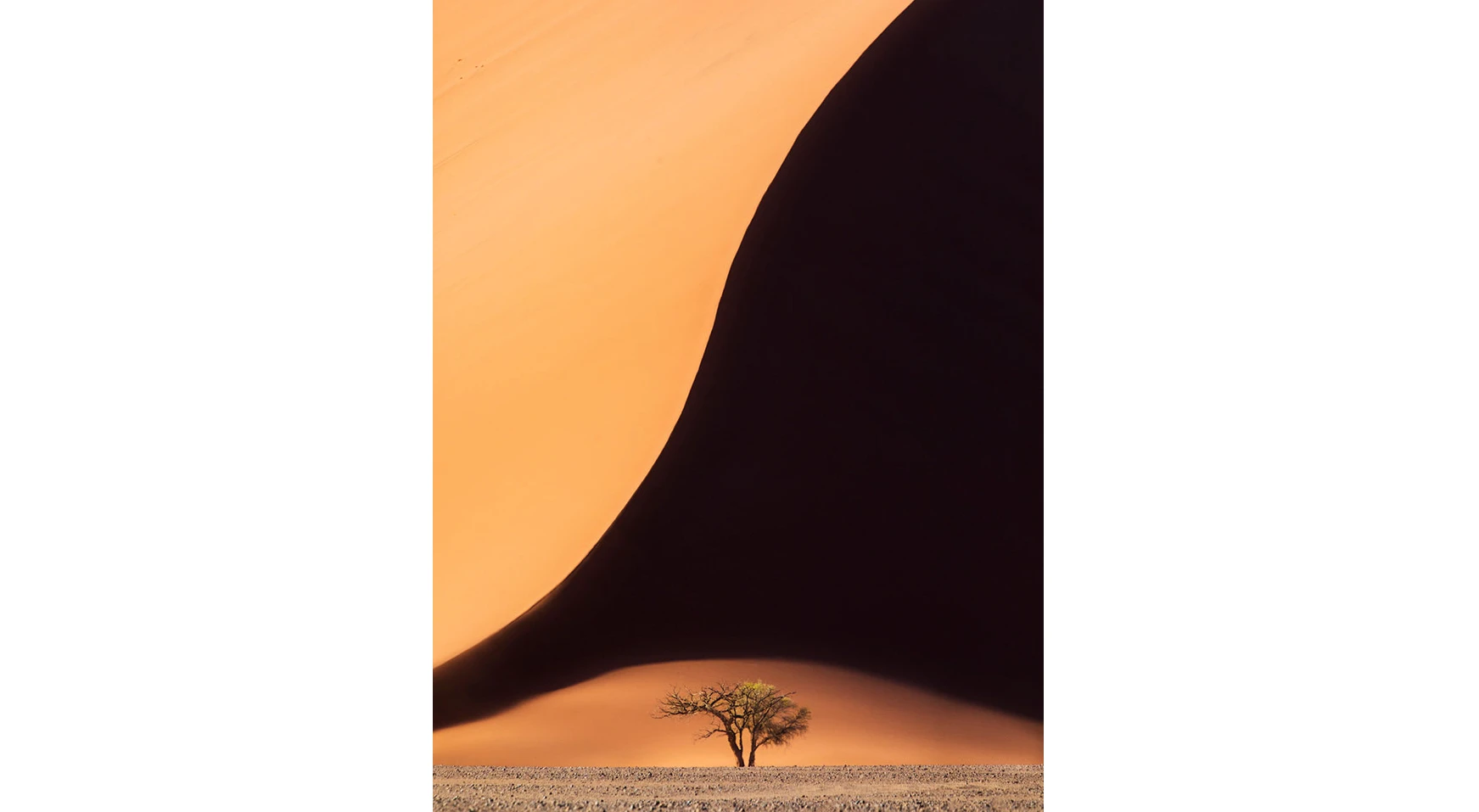 A winner in the Landscape category, Namibian Curves
