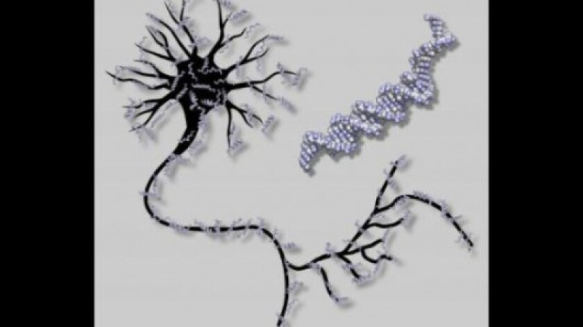 Scientists at Caltech created the world's first DNA-based artificial neural network